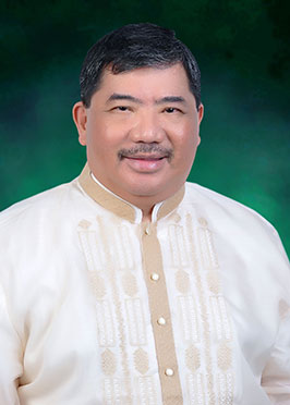 Fr. Thaddeus J. Teano, SVD image