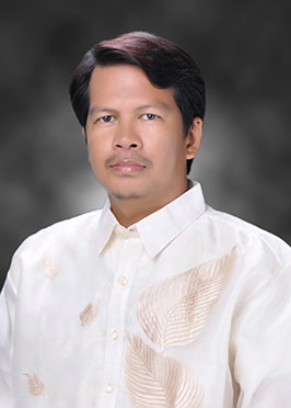 Mr. Juan Carlo Villamar image